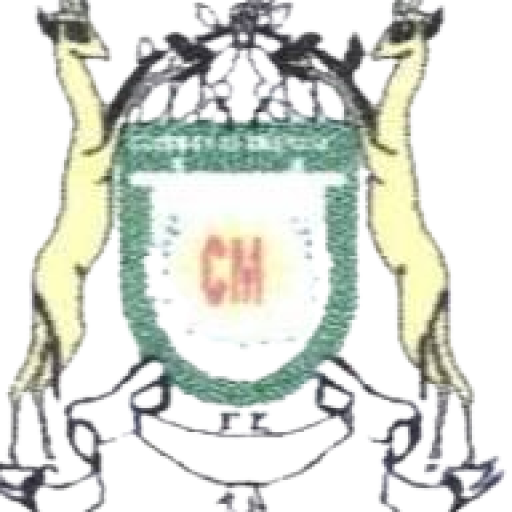 Commune d'arrondissement de Mandjou